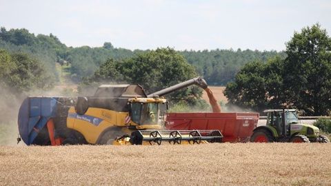 L'AGPB, dans la ligne du plan de filière, veut prendre la main sur l'amélioration de la qualité de la production céréalière française, en proposant une démarche RSE s'appuyant sur une version adaptée du label Haute valeur environnementale. (©@agrikol)
