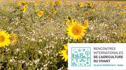 Toutes les conférences des Rencontres internationales de l'agriculture du vivant se dérouleront à la Cité universitaire de Paris du 20 au 23 février et la conférence de clôture aura lieu au Sima le 24 février. (©RIAV)