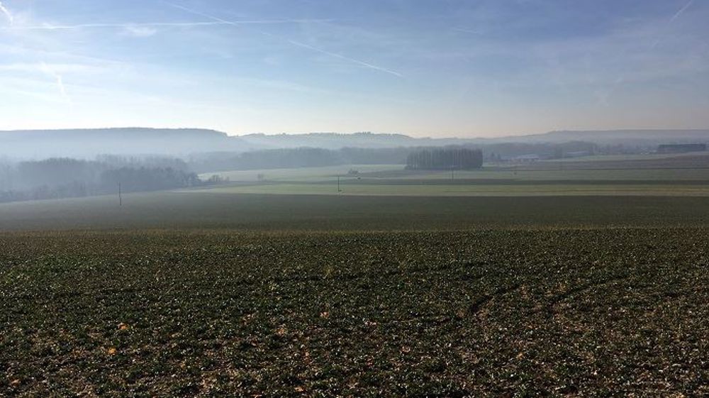 Agreste, service statistiques du ministère de l'agriculture, a revu, au 1<sup>er</sup> février 2018, ses estimations de surfaces des grandes cultures en France. (©Terre-net Média)