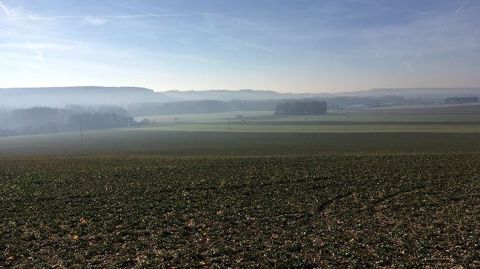 Agreste, service statistiques du ministère de l'agriculture, a revu, au 1<sup>er</sup> février 2018, ses estimations de surfaces des grandes cultures en France. (©Terre-net Média)