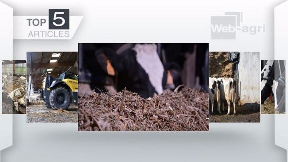 Les articles les plus lus de la semaine sur Web-agri. (©Terre-net Média)
