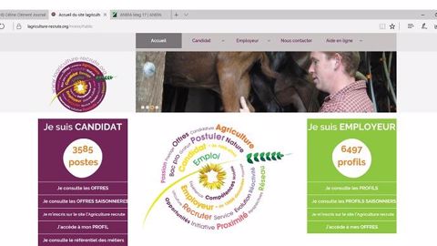 Le nouveau site web lagriculture-recrute.org, au design moderne et simple d'utilisation. (©lagriculture-recrute.org)