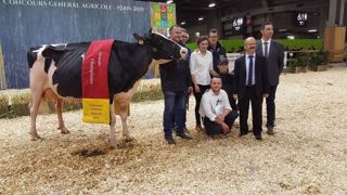 Grande championne Holstein : Du Louvion Harlinda. (©Terre-net Média) Grande championne Holstein : Du Louvion Harlinda. (©Terre-net Média)