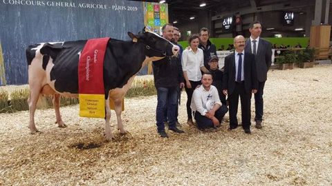 Grande championne Holstein : Du Louvion Harlinda. (©Terre-net Média)