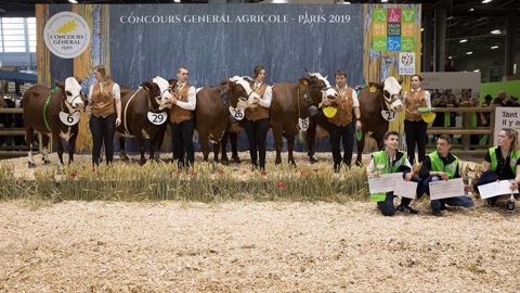 Les gagnants du concours de la race abondance. (©Olivier Barrière/Sia) Les gagnants du concours de la race abondance. (©Olivier Barrière/Sia)