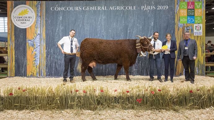 Le prix de championnat femelle de la race salers.
