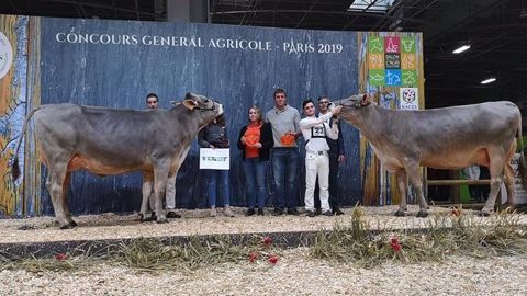 Mafaveur et Leslie du GAEC Changarnier, Miss BGS et Miss BGS Réserve (©<a href="https://www.facebook.com/BGS-Brune-G%C3%A9n%C3%A9tique-Services-158264927528033/" title="Brune Génétique Services" target="_self">Brune génétique services - Page Facebook</a>) Mafaveur et Leslie du GAEC Changarnier, Miss BGS et Miss BGS Réserve (©<a href="https://www.facebook.com/BGS-Brune-G%C3%A9n%C3%A9tique-Services-158264927528033/" title="Brune Génétique Services" target="_self">Brune génétique services - Page Facebook</a>)