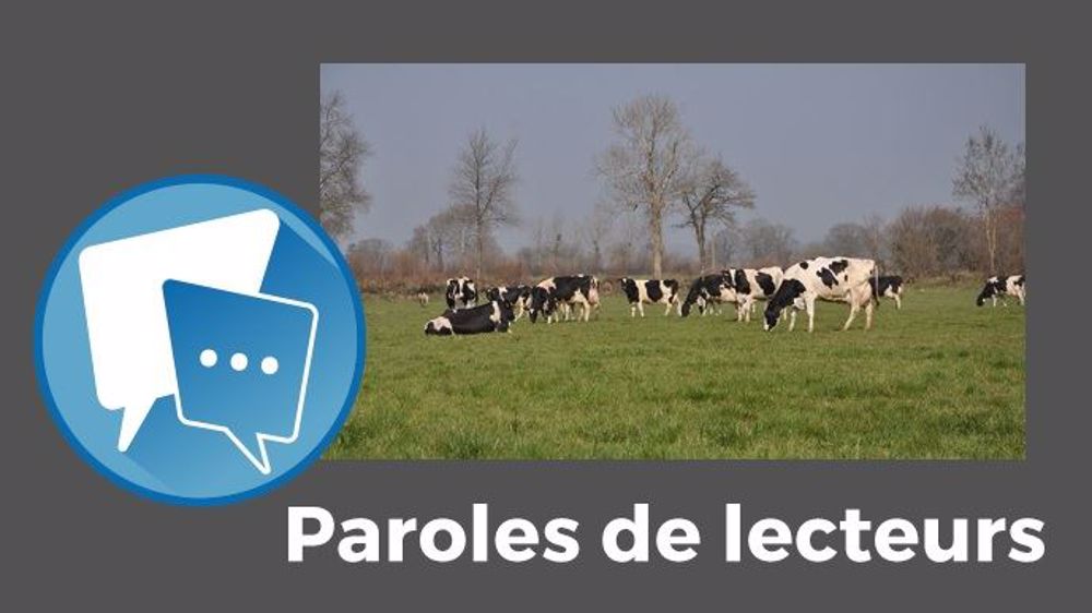 Les lecteurs de Web-agri ne croient pas que le changement climatique sera favorable à la pousse de l'herbe. (©Terre-net Média)