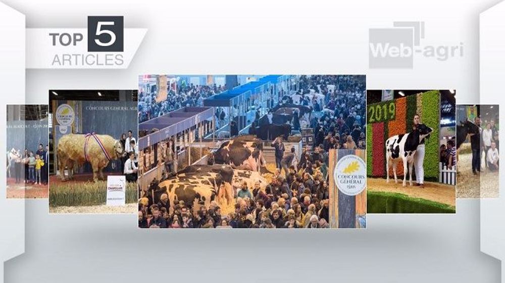 Top articles de Web-agri cette semaine (©Terre-net Média)