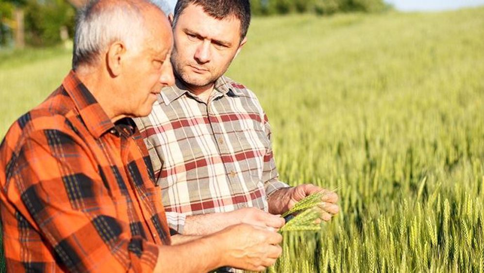 « Dans les dix ans à venir, un paysan sur deux va quitter le métier d'agriculteur, un sur trois dans les cinq ans », selon Raymond Vial. (©PointImages,Fotolia)
