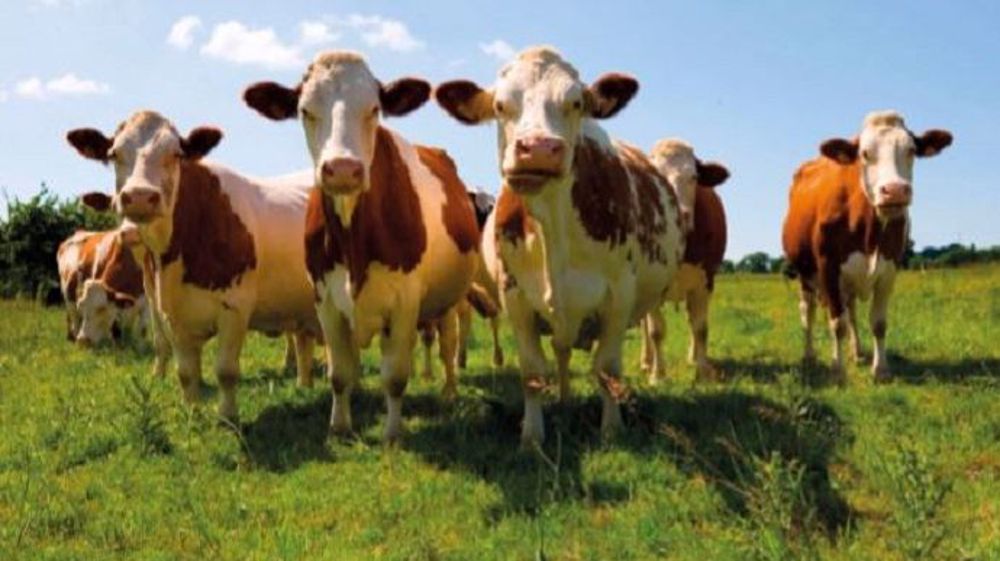 Nutrilac lance sa gamme de bolus Delilac (©Nutrilac)