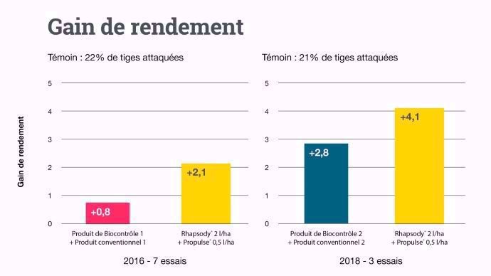 Gain de rendement avec Rhapsody