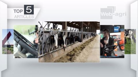 Les articles les plus lus de la semaine sur Web-agri. (©Terre-net Média) Les articles les plus lus de la semaine sur Web-agri. (©Terre-net Média)