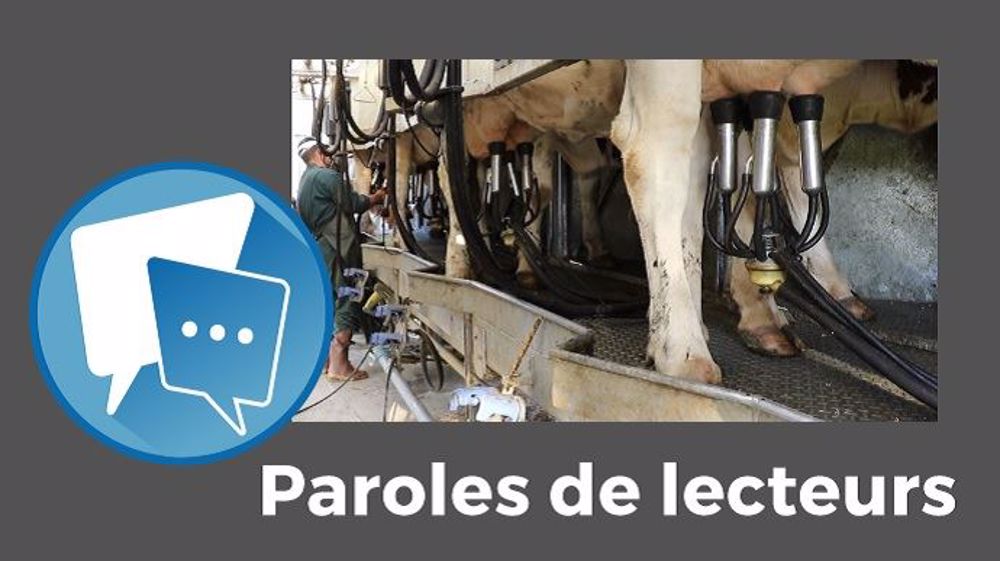 « N'en déplaise à certains, on est arrivé au bout du système ultra productif »,<strong> </strong>fait remarquer Patrice Brachet. (©Terre-net Média) « N'en déplaise à certains, on est arrivé au bout du système ultra productif »,<strong> </strong>fait remarquer Patrice Brachet. (©Terre-net Média)