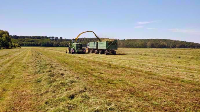 Sur prairie, l’apport de soufre améliore le rendement mais également la valeur énergétique de l’herbe.
