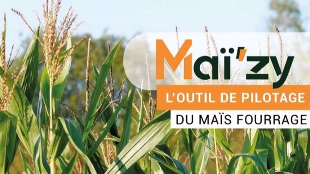 Maï'zy est un outil de monitoring du maïs fourrage. Il croise les données météos aux critères de l'éleveur et l'accompagne dans le pilotage de la culture. (©Weenat - Seenergi)