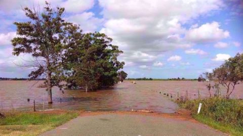 Les récentes inondations dans le Midwest risquent de retarder les semis de maïs et des blés de printemps. (©Linda Russ/Pixabay)