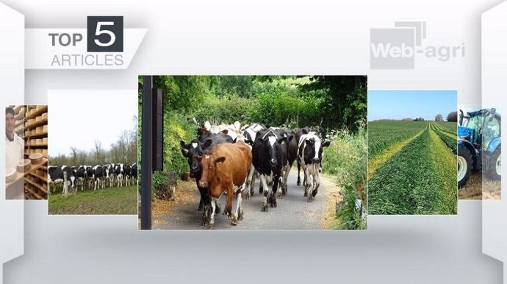 Top articles de Web-agri cette semaine (©Terre-net Média)
