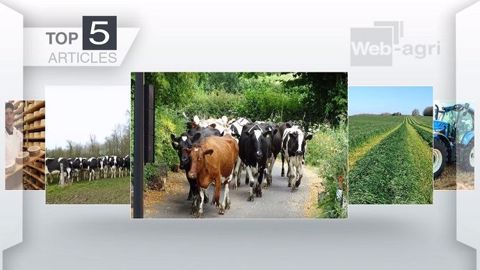 Top articles de Web-agri cette semaine (©Terre-net Média)