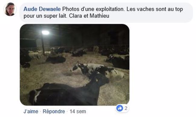 post facebook litieres malaxees