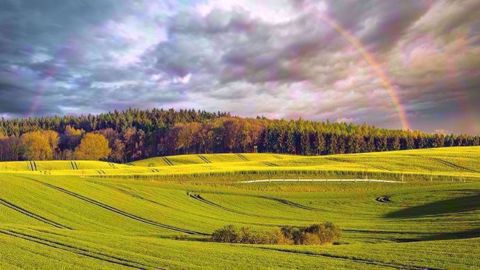 Le gouvernement réaffirme sa volonté ferme d'atteindre les objectifs de réduction des phytos de moitié d'ici à 2025 et de sortie du glyphosate pour une majorité des usages d'ici fin 2020. (©Mike Mareen/Fotolia)