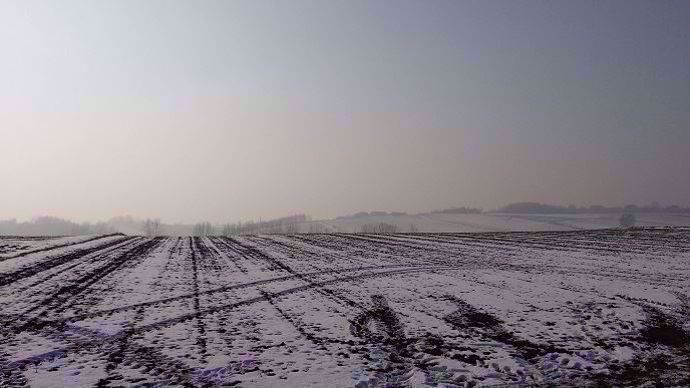 champ recouvert de neige