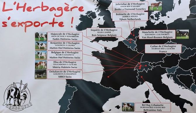 France, Allemagne, Suisse, Italie : la génétique de L'Herbagère s'exporte et intéresse bon nombre d'éleveurs.