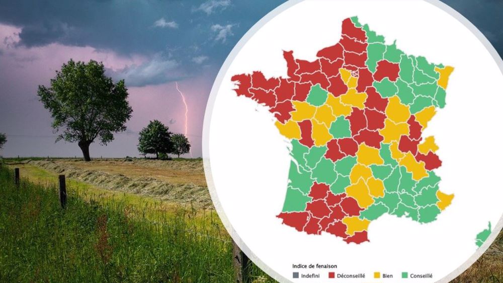 Quand pourrez-vous faucher votre herbe ? Réponse en <a href="http://www.web-agri.fr/meteo-agricole/fenaison" target="_self">consultant la Météo des foins</a>. (©Terre-net Média/Pixabay)
