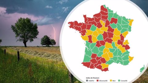 Quand pourrez-vous faucher votre herbe ? Réponse en <a href="http://www.web-agri.fr/meteo-agricole/fenaison" target="_self">consultant la Météo des foins</a>. (©Terre-net Média/Pixabay) Quand pourrez-vous faucher votre herbe ? Réponse en <a href="http://www.web-agri.fr/meteo-agricole/fenaison" target="_self">consultant la Météo des foins</a>. (©Terre-net Média/Pixabay)
