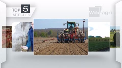 Les articles les plus lus de la semaine sur Web-agri. (©Terre-net Média) Les articles les plus lus de la semaine sur Web-agri. (©Terre-net Média)