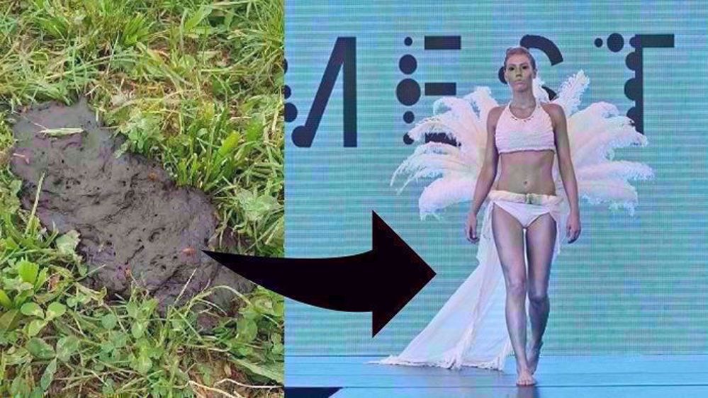 Vos bouses de vaches vaudront peut être un jour beaucoup d'argent. Une hollandaise travaille actuellement à l'utilisation des fibres contenues dans ces effluents d'élevage pour créer des vêtements. (©Terre-net Média)