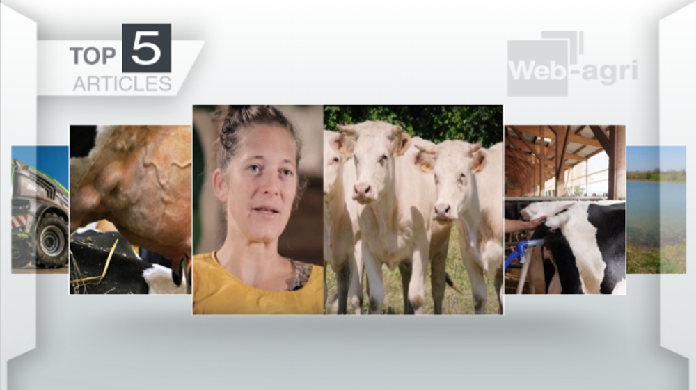 Articles les plus lus sur Web-agri cette semaine. (©Terre-net Média)