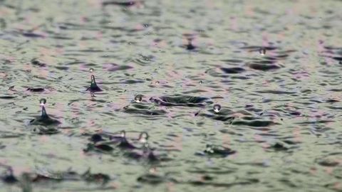  Les précipitations du week-end, souvent sous forme d'averses, ont été hétérogènes et ne suffisent pas pour résorber complètement le<strong> </strong>déficit hydrique en France et en Europe.<strong> </strong>(©Pixabey)