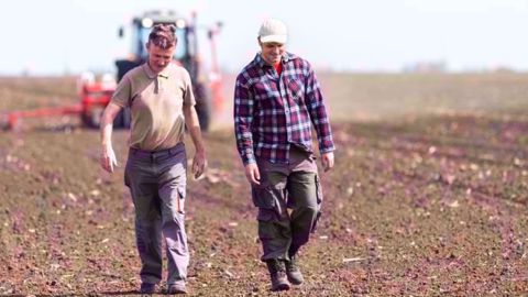 Pour le second trimestre 2019, le secteur agricole bénéficie d'une perspective nette d'emploi de + 7 %, l'une des plus élevée, tous secteurs d'activité confondus. (©Dusan Kostic/Fotolia)