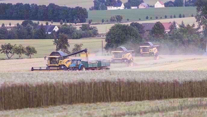 Les prévisions de récolte 2019 s'annoncent très bonnes chez les principaux producteurs mondiaux de blé tendre