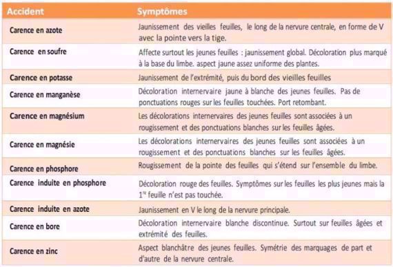 Récapitulatif des symptômes observés pour les différents accidents physico-chimiques du maïs
