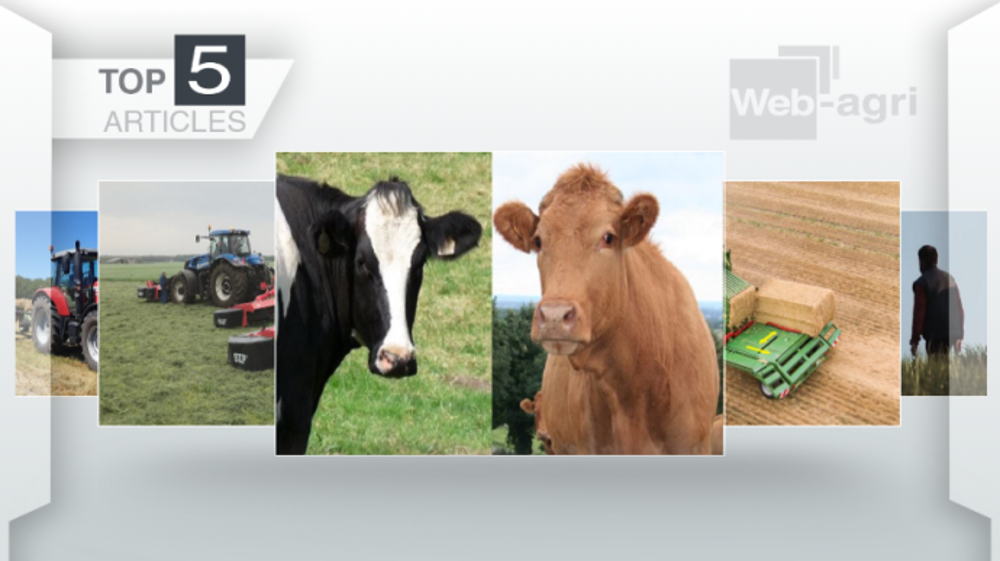 Articles les plus lus sur Web-agri cette semaine. (©Terre-net Média)