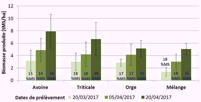 Biomasse produite par les Cive selon leur date de prélèvement