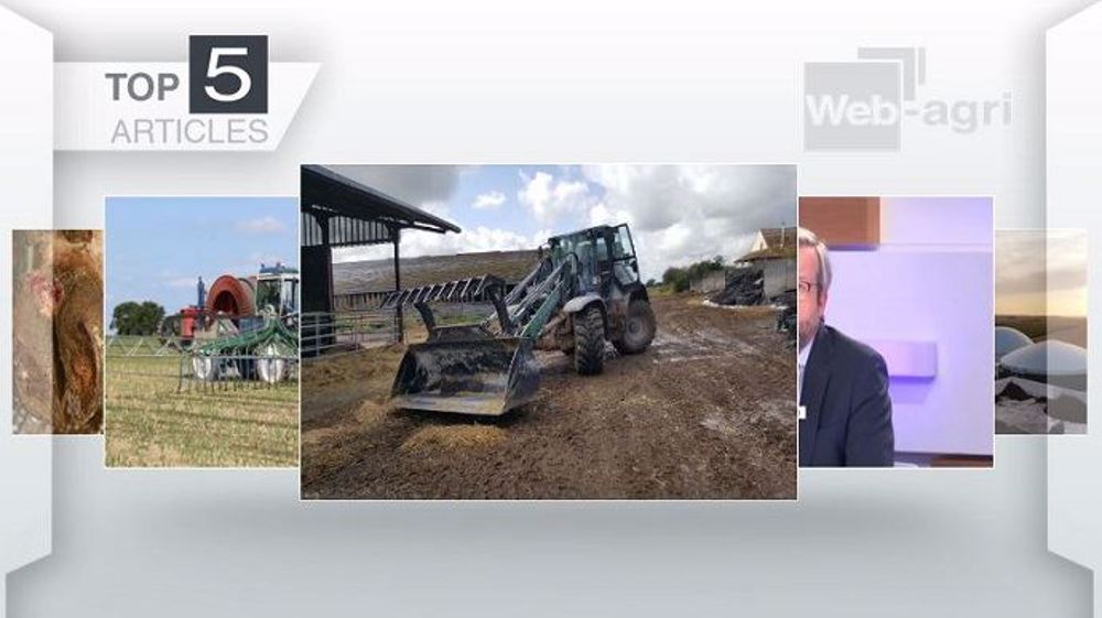 Top articles de Web-agri cette semaine (©Terre-net Média)
