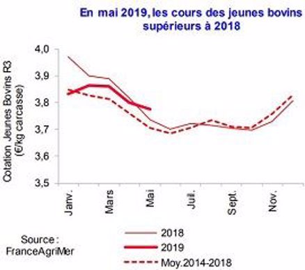 Evolution du cours des jeunes bovins en 2019.