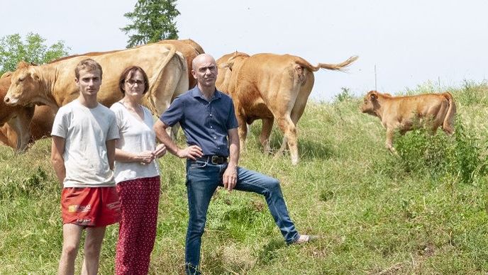 fabien francoise et laurent mathieu avec leur troupeau allaitant limousin