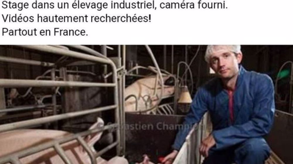 Capture d'écran de l'offre d'emploi publiée par DxE sur Facebook. (©Terre-net Média)