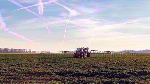 Le Conseil d'État a annulé l'arrêté car, notamment, il ne prévoit aucune mesure générale destinée à protéger les riverains des zones agricoles traitées. (©Nadège Petit) Le Conseil d'État a annulé l'arrêté car, notamment, il ne prévoit aucune mesure générale destinée à protéger les riverains des zones agricoles traitées. (©Nadège Petit)