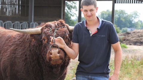 Maxime emmènera Nougat au Space 2019 : il s'agit d'un taureau Salers de 2 ans et demi. (©Terre-net Média) Maxime emmènera Nougat au Space 2019 : il s'agit d'un taureau Salers de 2 ans et demi. (©Terre-net Média)