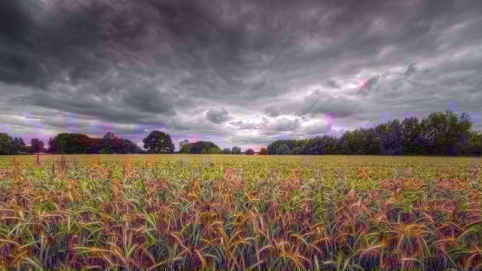 Champ de blé et orage