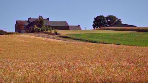 Retrouvez tous les prix du foncier agricole 2017 en Ile-de-France. (©Terre-net Média) 