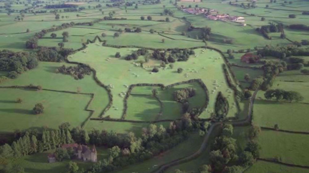 Lors des assemblées générales des coopératives historiques de Sicarev, le projet de fusion a été voté à l’unanimité. (©Sicarev coop)