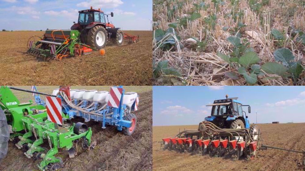 Différentes techniques de semis sont envisageables pour le colza : quelle sera la votre ? (©TNC)