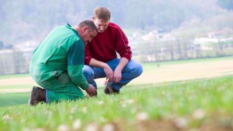 Mateno, innovation herbicide 2019, offre plusieurs avantages sur blé. (©Bayer)