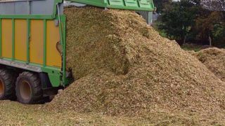 Les conservateurs pour l'ensilage de maïs permettent soit d'accélérer l'acidification ou de maintenir la stabilité. (©Terre-net Média) Les conservateurs pour l'ensilage de maïs permettent soit d'accélérer l'acidification ou de maintenir la stabilité. (©Terre-net Média)